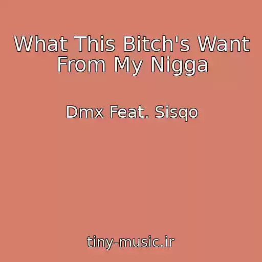 کاور آهنگ What This Bitch's Want From My Nigga از Dmx Feat. Sisqo