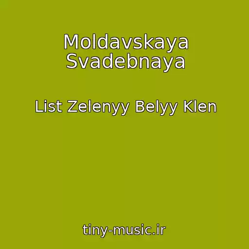 کاور آهنگ Moldavskaya Svadebnaya از List Zelenyy Belyy Klen