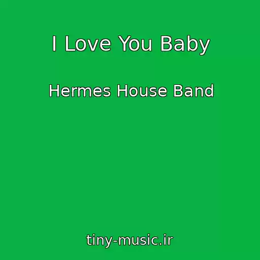 کاور آهنگ I Love You Baby از Hermes House Band