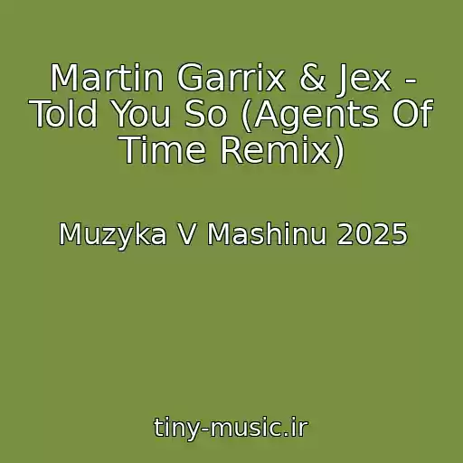 کاور آهنگ Martin Garrix & Jex - Told You So (Agents Of Time Remix) از Muzyka V Mashinu 2025