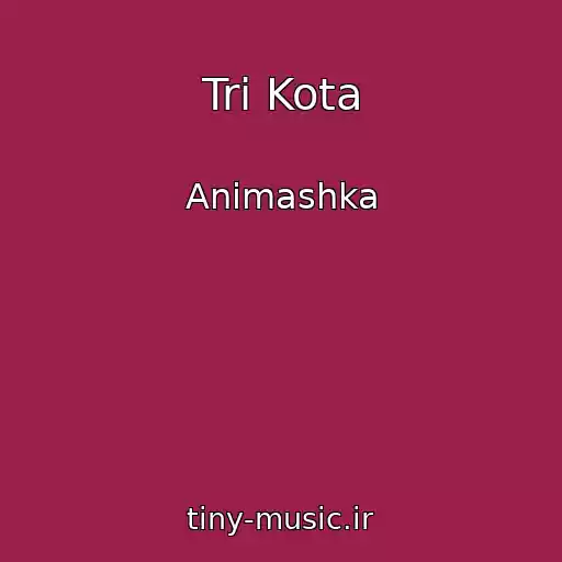 کاور آهنگ Tri Kota از Animashka