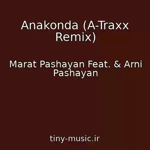 کاور آهنگ Anakonda (A-Traxx Remix) از Marat Pashayan Feat. & Arni Pashayan