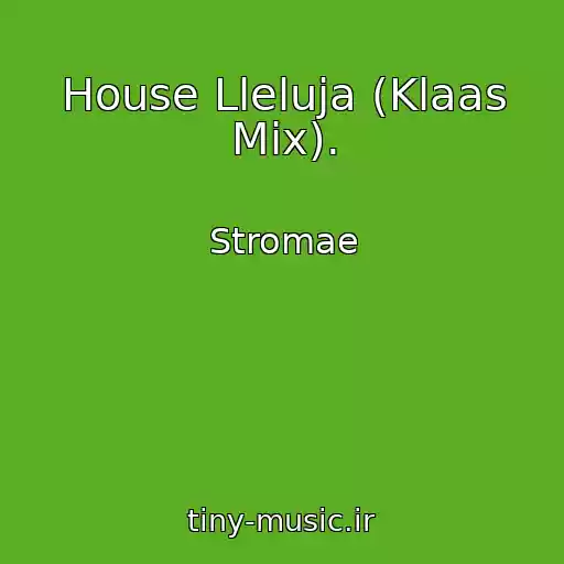 کاور آهنگ House Lleluja (Klaas Mix). از Stromae
