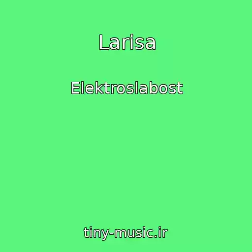 کاور آهنگ Larisa از Elektroslabost