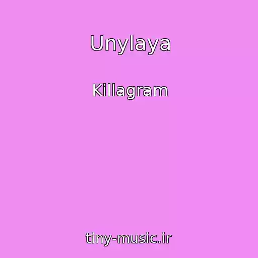 کاور آهنگ Unylaya از Killagram