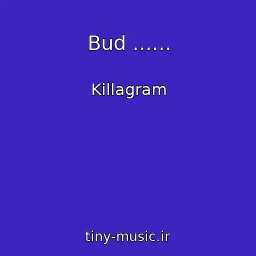 کاور آهنگ Bud ...... از Killagram