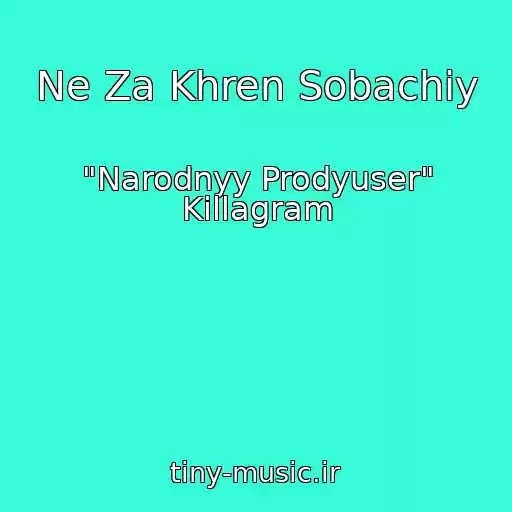 کاور آهنگ Ne Za Khren Sobachiy از "Narodnyy Prodyuser" Killagram