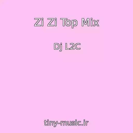 کاور آهنگ Zi Zi Top Mix از Dj L2C