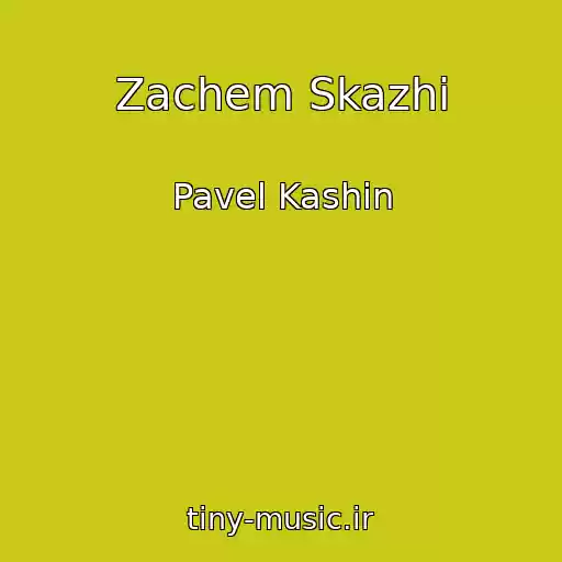 کاور آهنگ Zachem Skazhi از Pavel Kashin
