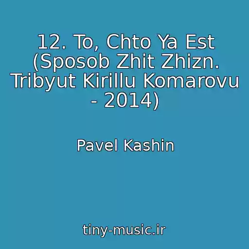 کاور آهنگ 12. To, Chto Ya Est (Sposob Zhit Zhizn. Tribyut Kirillu Komarovu - 2014) از Pavel Kashin