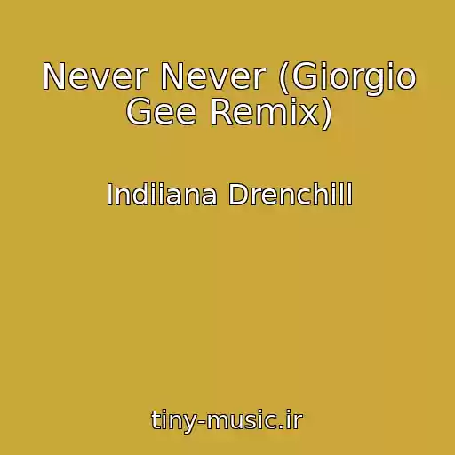 کاور آهنگ Never Never (Giorgio Gee Remix) از Indiiana Drenchill