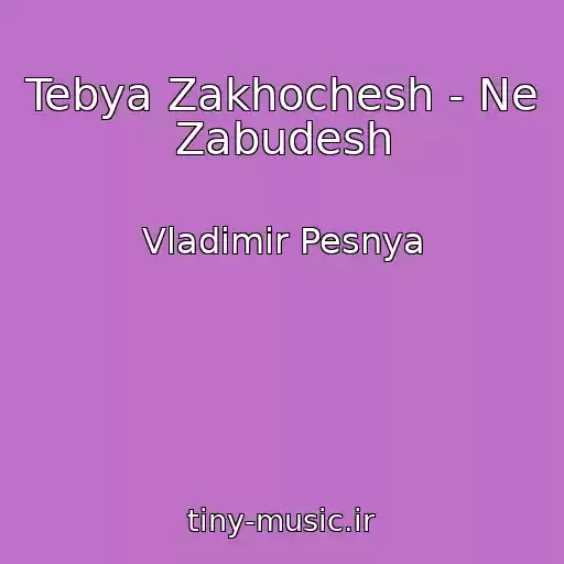 کاور آهنگ Tebya Zakhochesh - Ne Zabudesh از Vladimir Pesnya