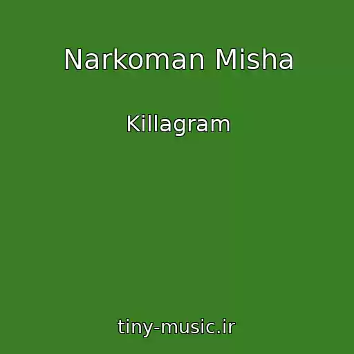 کاور آهنگ Narkoman Misha از Killagram
