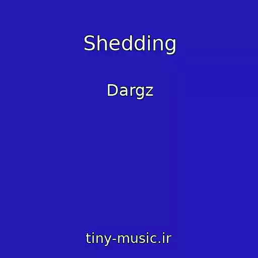 کاور آهنگ Shedding از Dargz