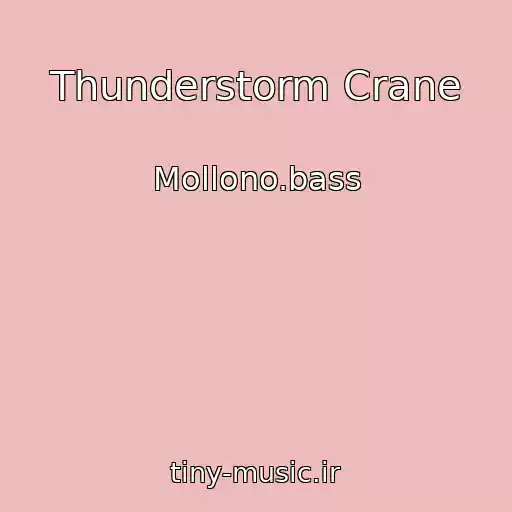 کاور آهنگ Thunderstorm Crane از Mollono.bass