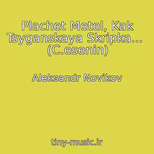 کاور آهنگ Plachet Metel, Kak Tsyganskaya Skripka...  (C.esenin) از Aleksandr Novikov