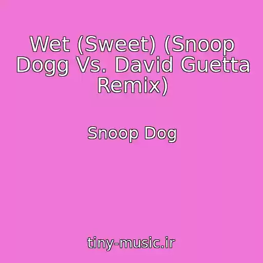 کاور آهنگ Wet (Sweet) (Snoop Dogg Vs. David Guetta Remix) از Snoop Dog