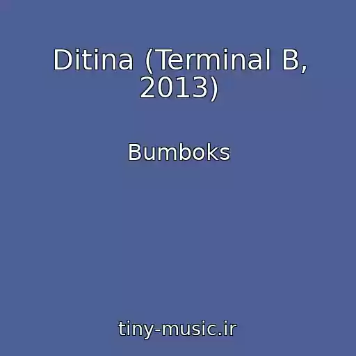 کاور آهنگ Ditina (Termіnal B, 2013) از Bumboks