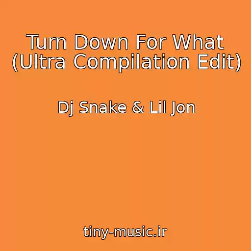 کاور آهنگ Turn Down For What (Ultra Compilation Edit) از Dj Snake & Lil Jon