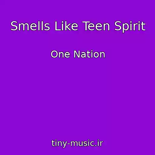 کاور آهنگ Smells Like Teen Spirit از One Nation