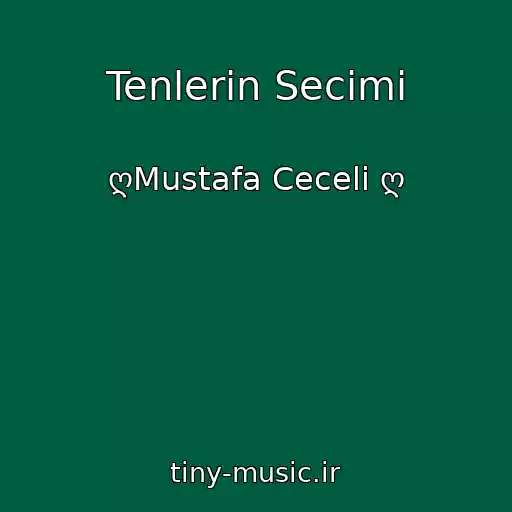 کاور آهنگ Tenlerin Secimi از ღMustafa Ceceli ღ