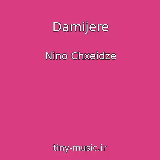 کاور آهنگ Damijere از Nino Chxeidze