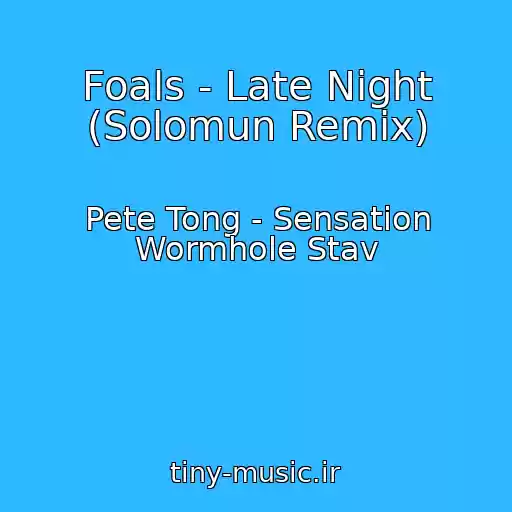 کاور آهنگ Foals - Late Night (Solomun Remix) از Pete Tong - Sensation Wormhole Stav