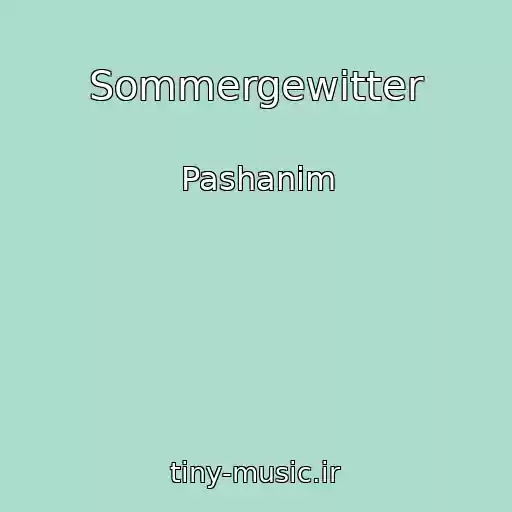 کاور آهنگ Sommergewitter از Pashanim