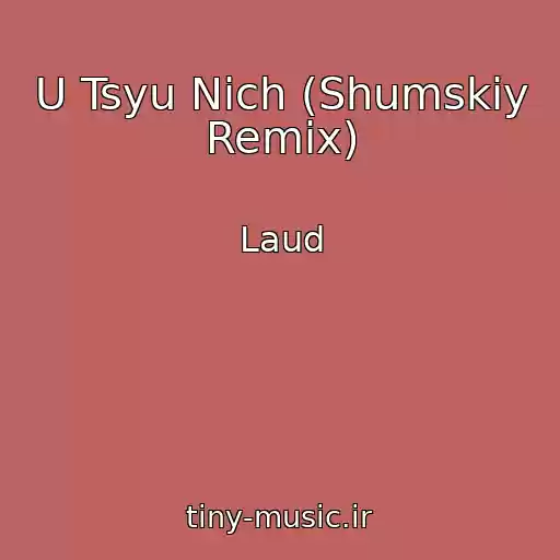 کاور آهنگ U Tsyu Nіch (Shumskiy Remix) از Laud
