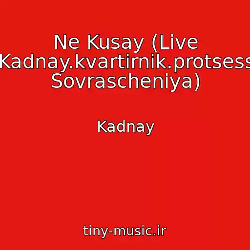 کاور آهنگ Ne Kusay (Live Kadnay.kvartirnik.protsess Sovrascheniya) از Kadnay