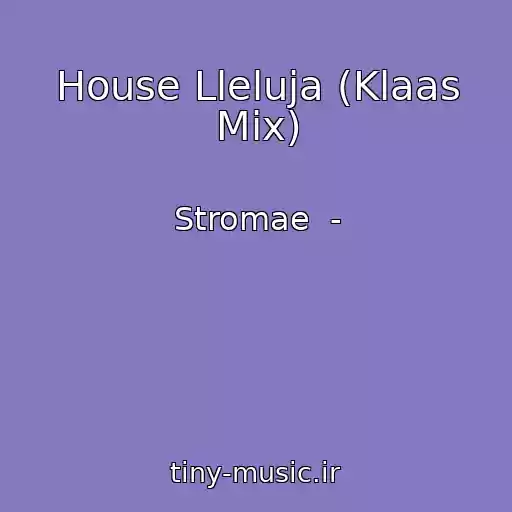 کاور آهنگ House Lleluja (Klaas Mix) از Stromae  -