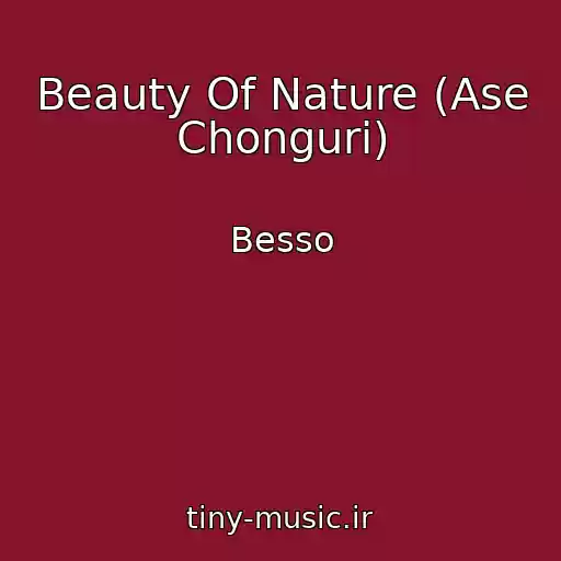کاور آهنگ Beauty Of Nature (Ase Chonguri) از Besso