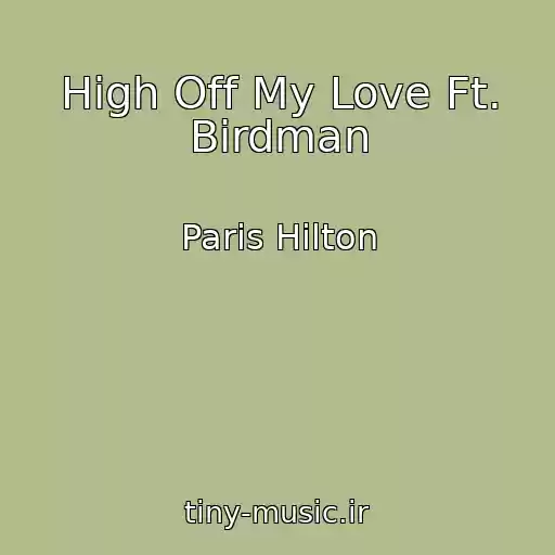 کاور آهنگ High Off My Love Ft. Birdman از Paris Hilton