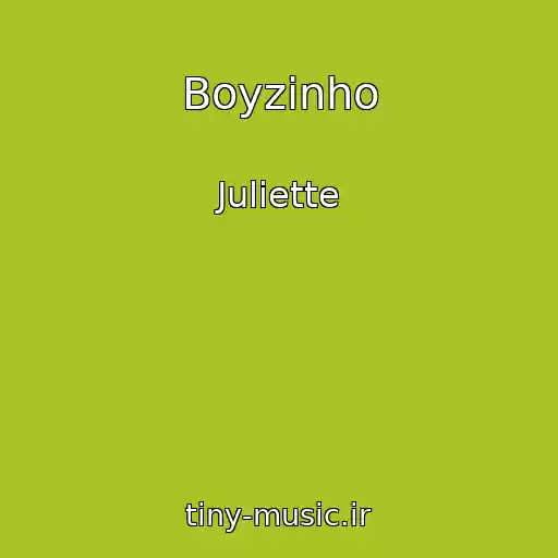 کاور آهنگ Boyzinho از Juliette