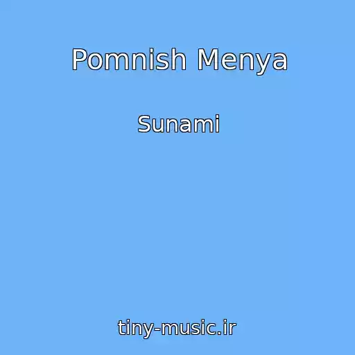 کاور آهنگ Pomnish Menya از Sunami