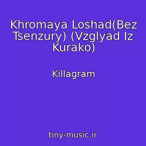 کاور آهنگ Khromaya Loshad(Bez Tsenzury) (Vzglyad Iz Kurako) از Killagram