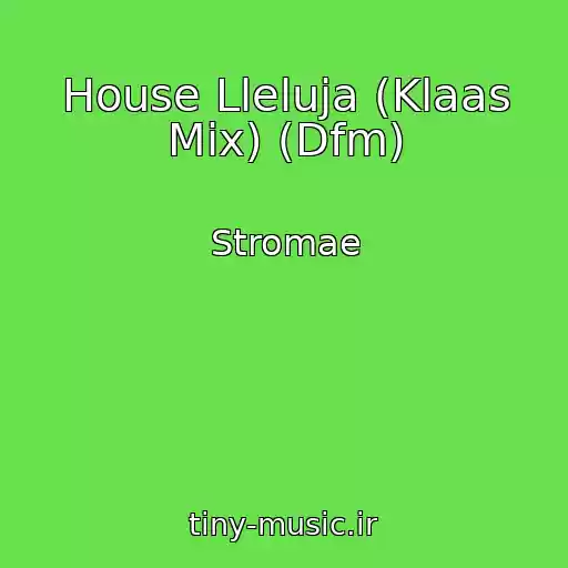 کاور آهنگ House Lleluja (Klaas Mix) (Dfm) از Stromae