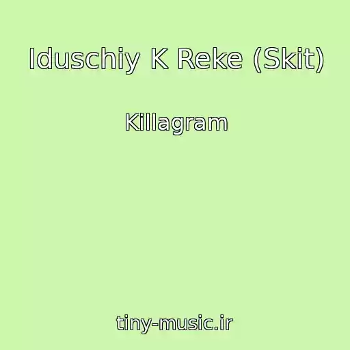 کاور آهنگ Iduschiy K Reke (Skit) از Killagram