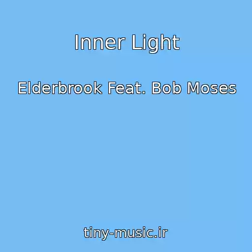 کاور آهنگ Inner Light از Elderbrook Feat. Bob Moses