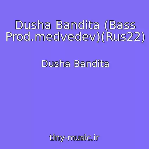 کاور آهنگ Dusha Bandita (Bass Prod.medvedev)(Rus22) از Dusha Bandita