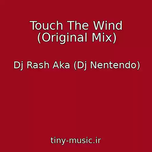کاور آهنگ Touch The Wind (Original Mix) از Dj Rash Aka (Dj Nentendo)