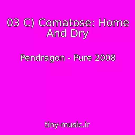 کاور آهنگ 03 C) Comatose: Home And Dry از Pendragon - Pure 2008