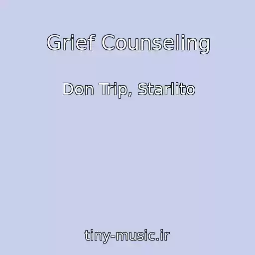 کاور آهنگ Grief Counseling از Don Trip, Starlito