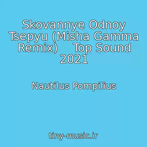 کاور آهنگ Skovannye Odnoy Tsepyu (Misha Gamma Remix)    Top Sound 2021 از Nautilus Pompilius