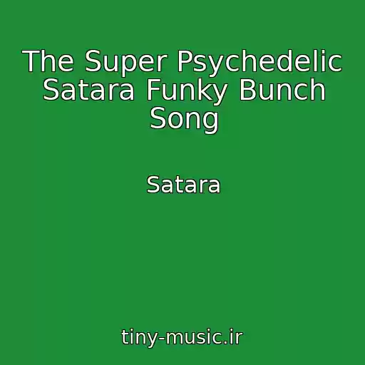 کاور آهنگ The Super Psychedelic Satara Funky Bunch Song از Satara
