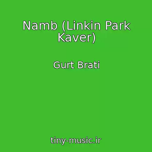 کاور آهنگ Namb (Lіnkіn Park Kaver) از Gurt Brati