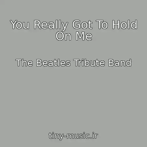 کاور آهنگ You Really Got To Hold On Me از The Beatles Tribute Band
