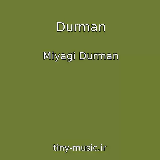 کاور آهنگ Durman از Miyagi Durman