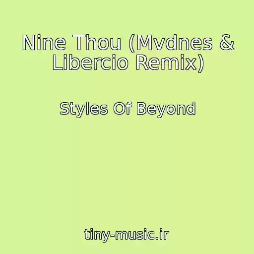 کاور آهنگ Nine Thou (Mvdnes & Libercio Remix) از Styles Of Beyond
