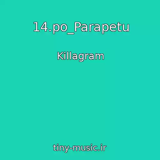 کاور آهنگ 14.po_Parapetu از Killagram